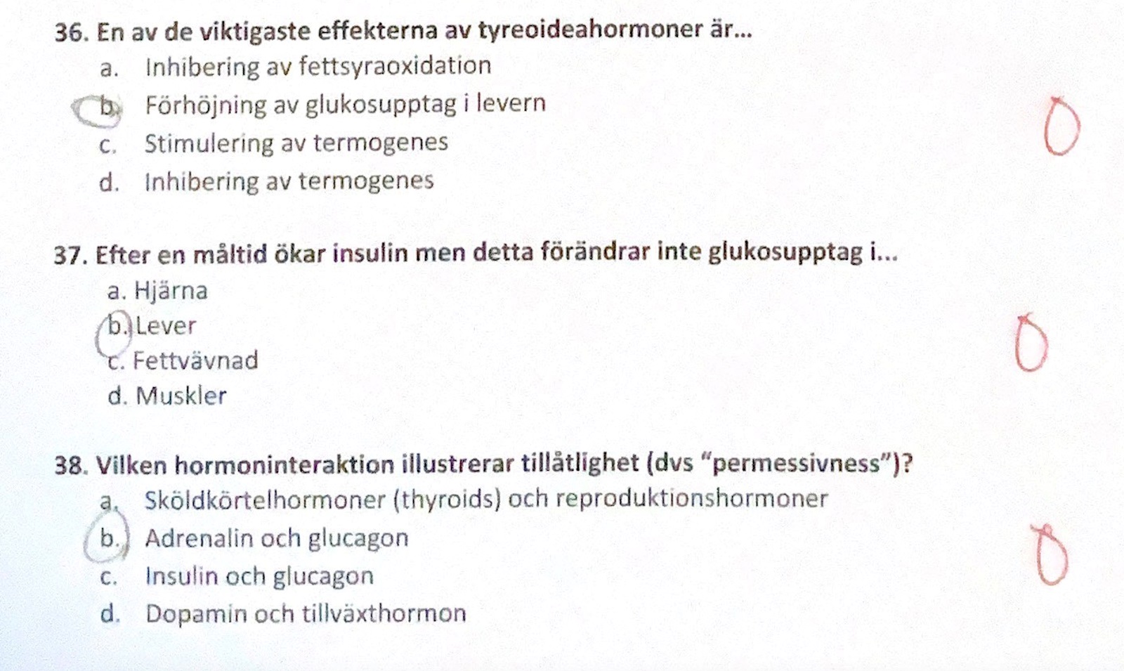 Hormonell Reglering (Biologi/Universitet) – Pluggakuten