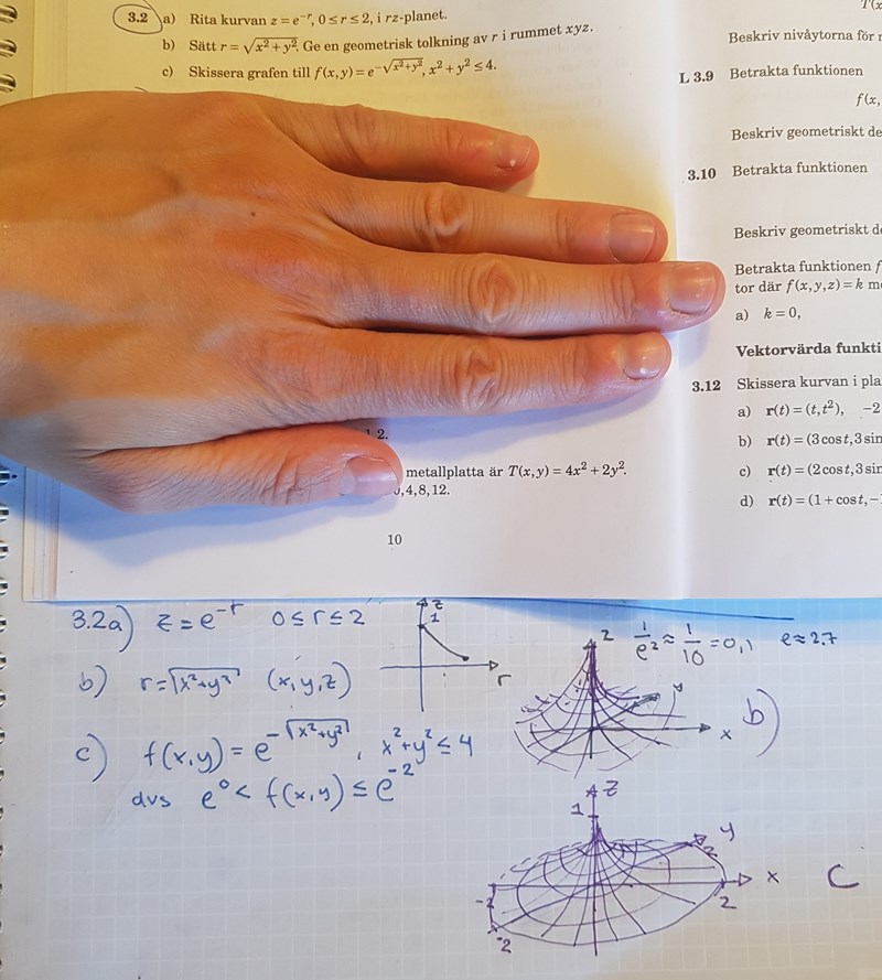 F X Y E X 2 Y 2 Matematik Universitet Pluggakuten