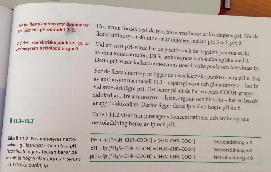 Biokemi, Molekyler, IP, PH, Aminosyror (Kemi) – Pluggakuten