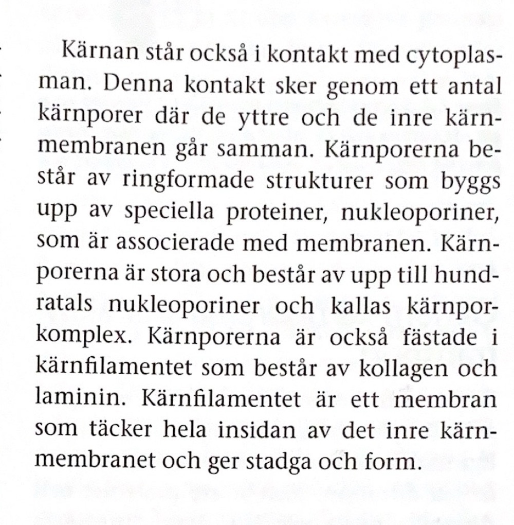 Kärnpor/kärnporkomplex/karnfilament (Biologi/Universitet) – Pluggakuten